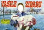 Vasile Zidaru - petreceti cu... Vasilica